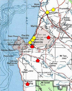 A red polygon indicates an extant occurrence; yellow indicates the occurrence has been extirpated. 